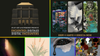 The Patron Age — Art Releasing the Week of July 6th, 2026